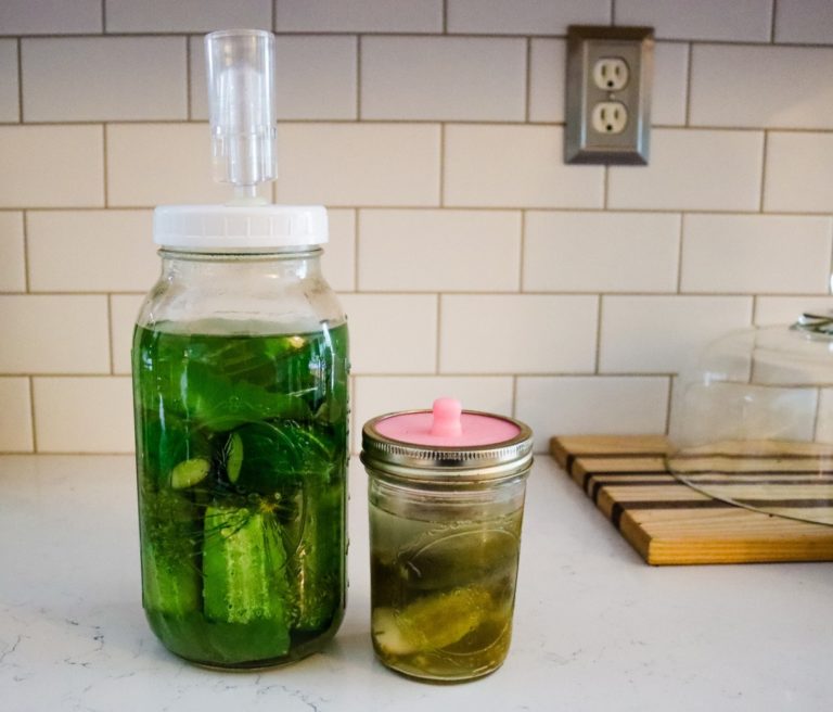 Fermented Pickles Quick & Easy OldFashioned Recipe