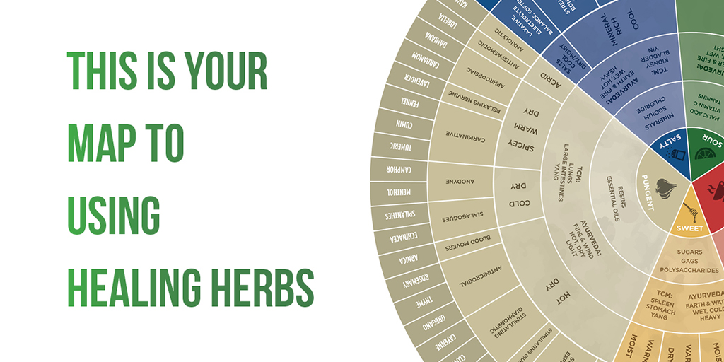 how to make thyme tea for colds