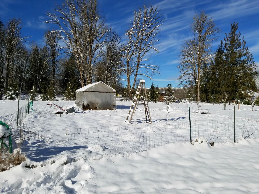 Garden and Greenhouse in the snow.