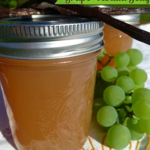 Homemade Grape Jelly Recipe - Made With Fresh Grapes or Juice