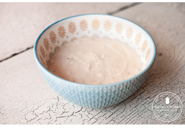GlutenFree Cream of Chicken Soup (+ Variations) Melissa K. Norris