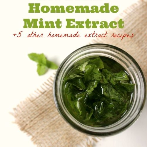 DIY Mint Extract - The Coconut Mama