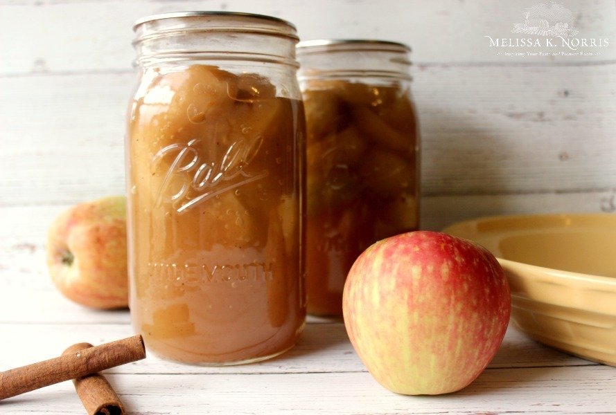 Pinterest Pin containing several images of apples, a 4 oz. Mason jar filled with apple butter, quart sized Mason Jars filled with apple pie filling, and pint size Mason Jar filled with apple cider vinegar. Text overlay says, "11 Easy Ways to Preserve Apples at Home".