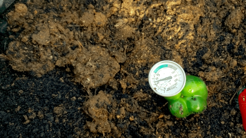 Image of a compost pile with a thermometer in it.