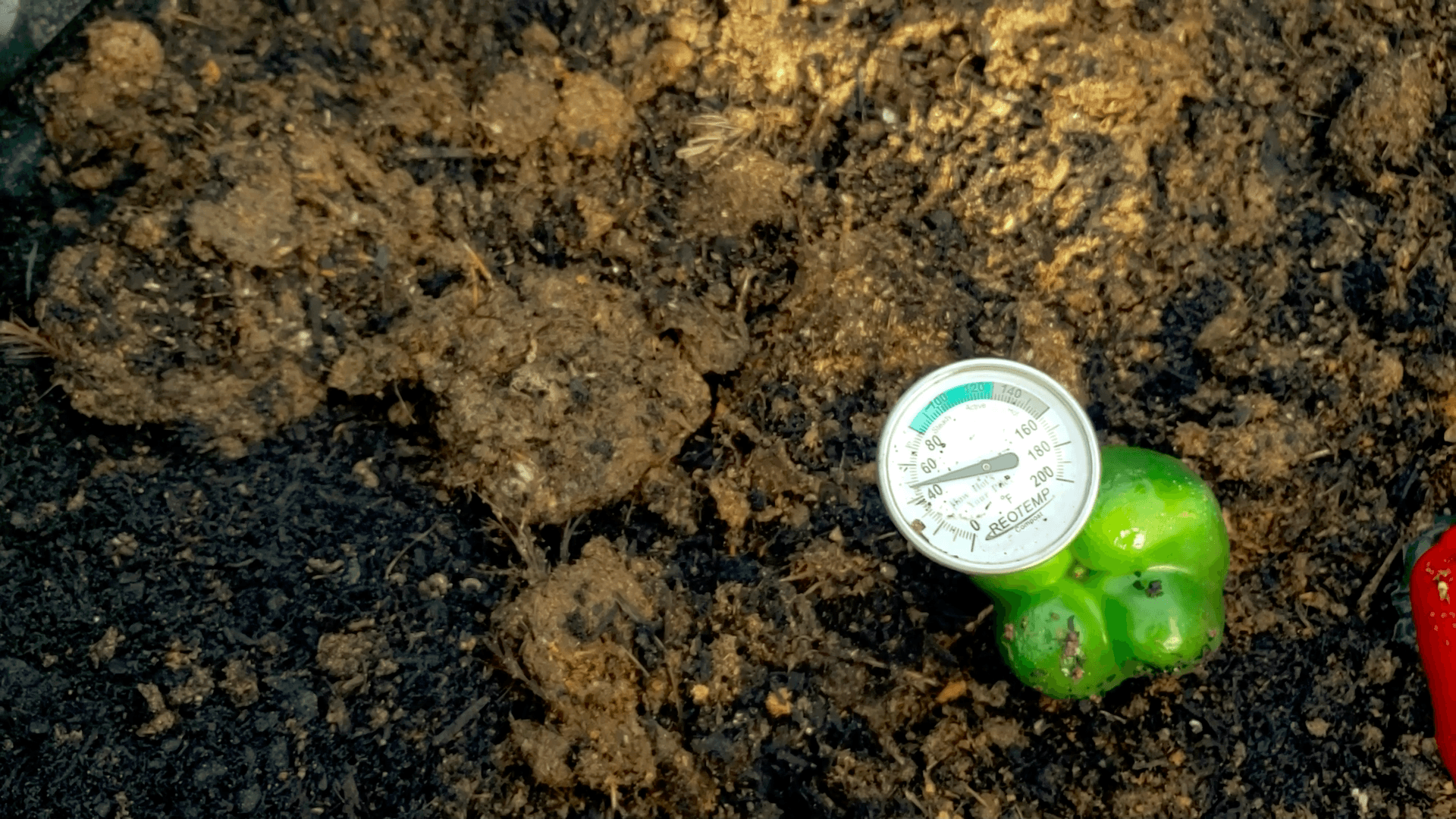 Image of a compost pile with a thermometer in it.