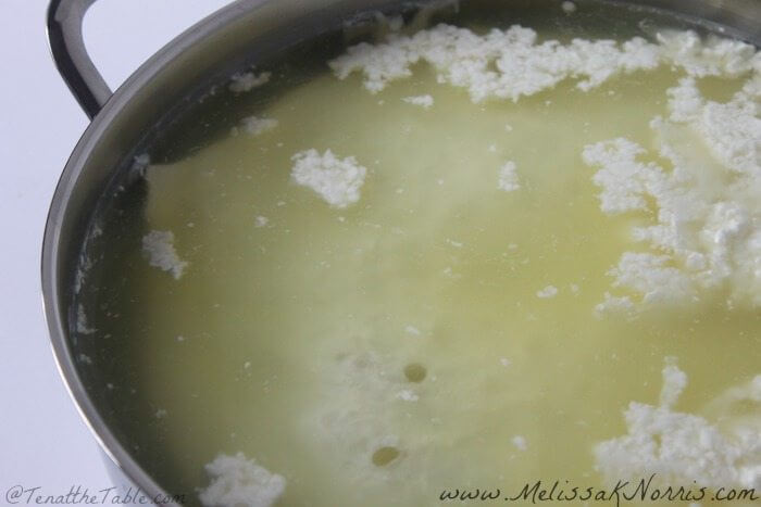 Mozzarella cheese and whey separating out.