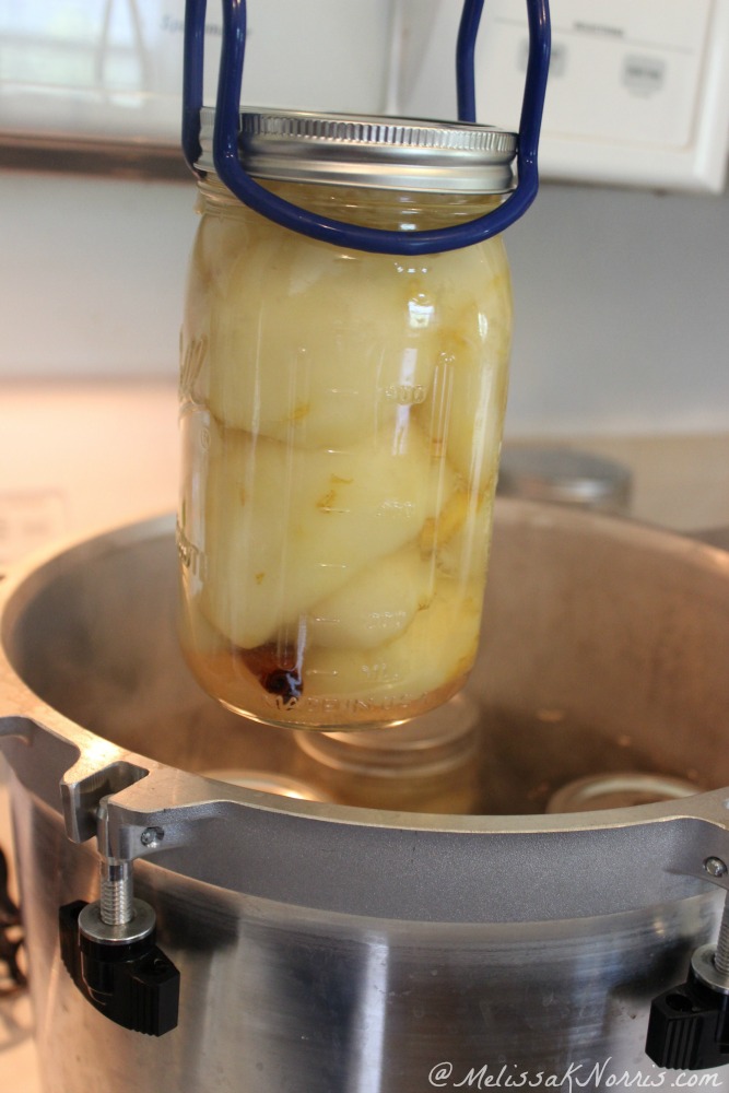 A jar of pears being lowered into a water bath canner.