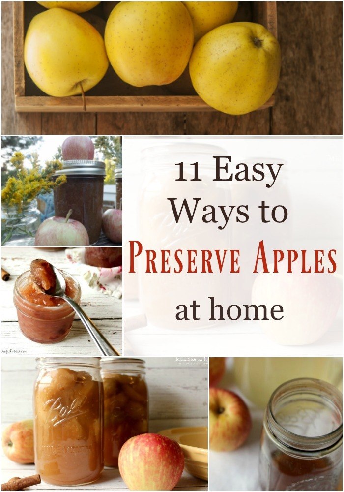 11 Ways to Preserve Apples at Home