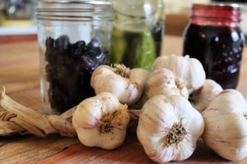braided garlic with jar of dehydrated cherries, fermented pickles and blackberry pie filling on counter