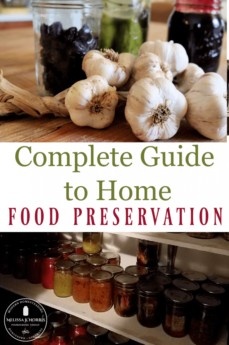 Home Food Preservation Preserving Plan for a Year's Worth of Food