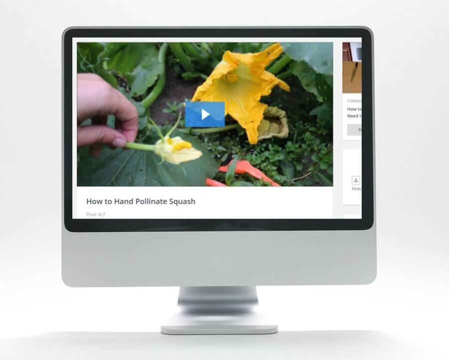 Computer screen with gardening photo on it.