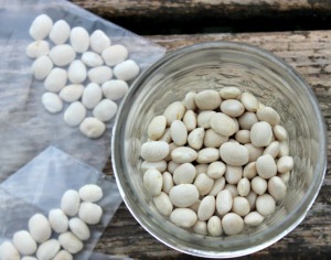 Jar of dried beans with two bags of the bean seeds on a wooden table.