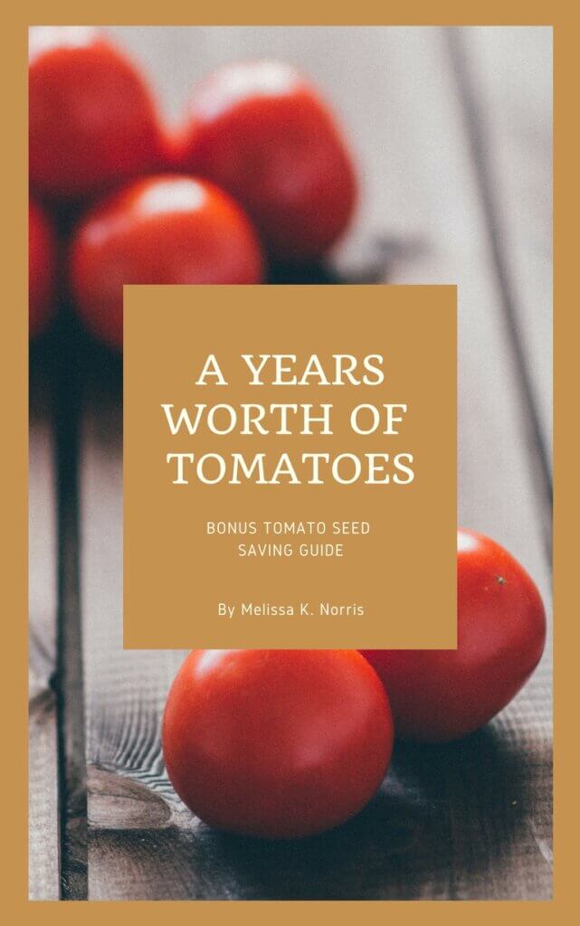 Cover to a tomato e-guide. 