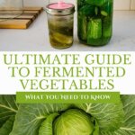 Pinterest pin for the ultimate guide to fermented vegetables. Image of fermenting pickles on a kitchen counter and ahead of cabbage in the garden.