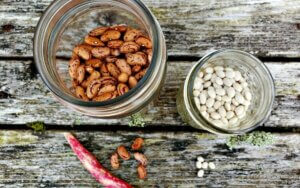 Bean seeds in mason jars.