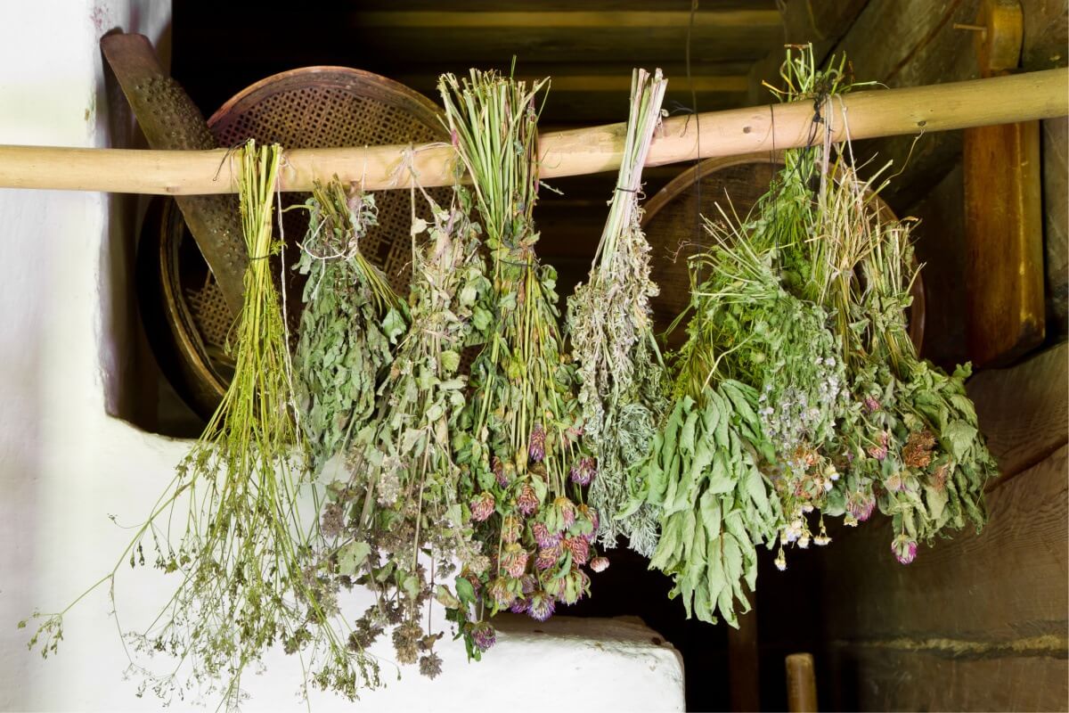 dried herbs in Mason jar on counter