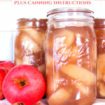 Pinterest pin with an image of jars of home canned apple pie filling.