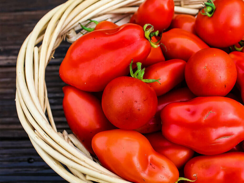 basket of ripe heirlom tomatoes