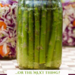 Pinterest pin with jars of home fermented food.