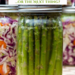Pinterest pin with jars of home fermented food.
