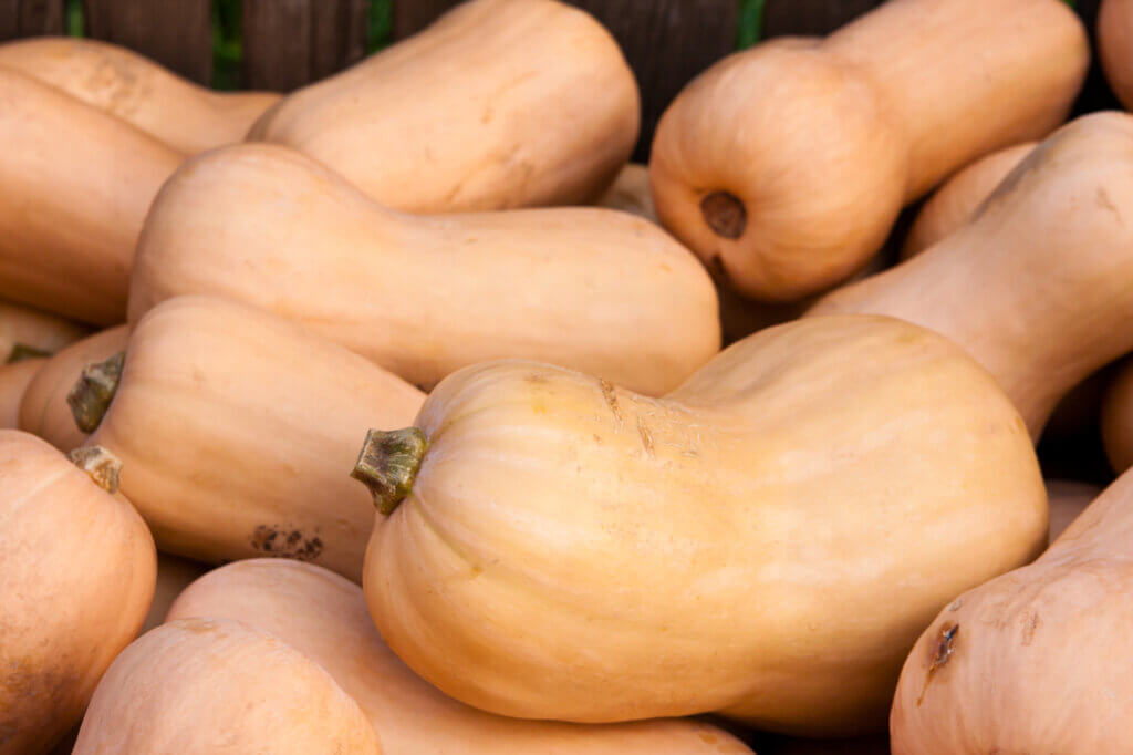 Butternut squash.