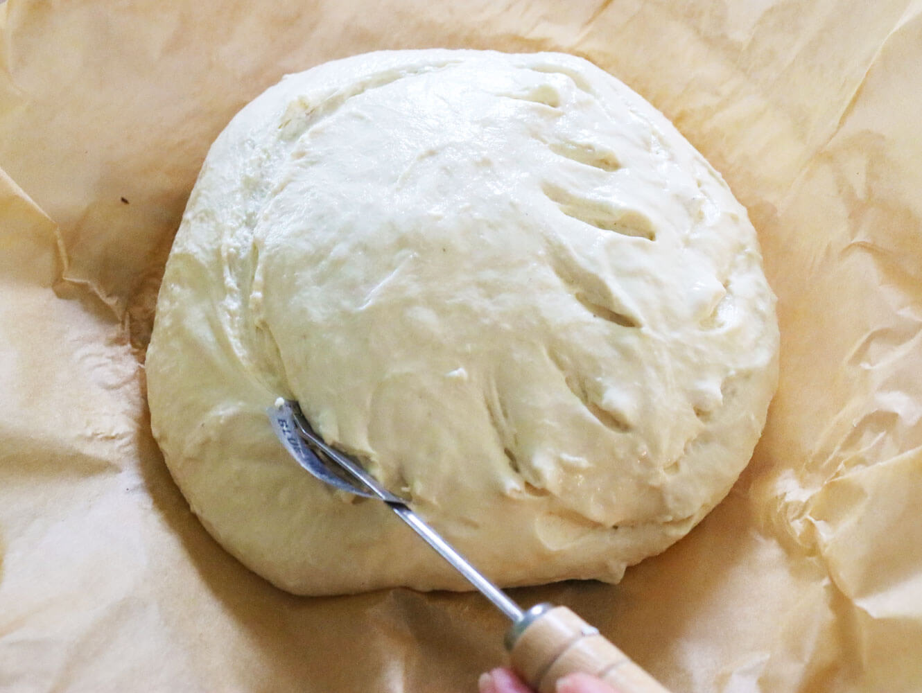 no knead hawiian artisan bread recipes