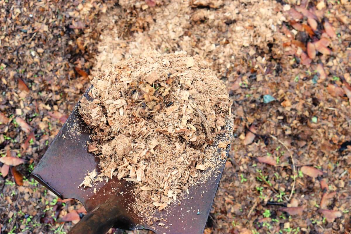 A shovel scooping wood chips.