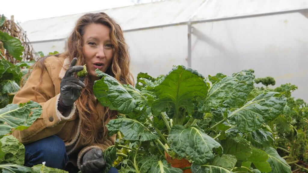 A woman crouched by a large brussel sprout plant holding up a Brussel sprout.