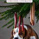 Picture of a dog looking sad under a Christmas tree. Pinterest pin for dealing with emotions during the holidays.