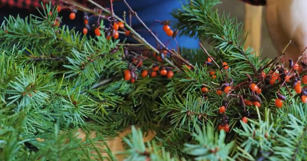 An up close photo of holly berries on a wreath.