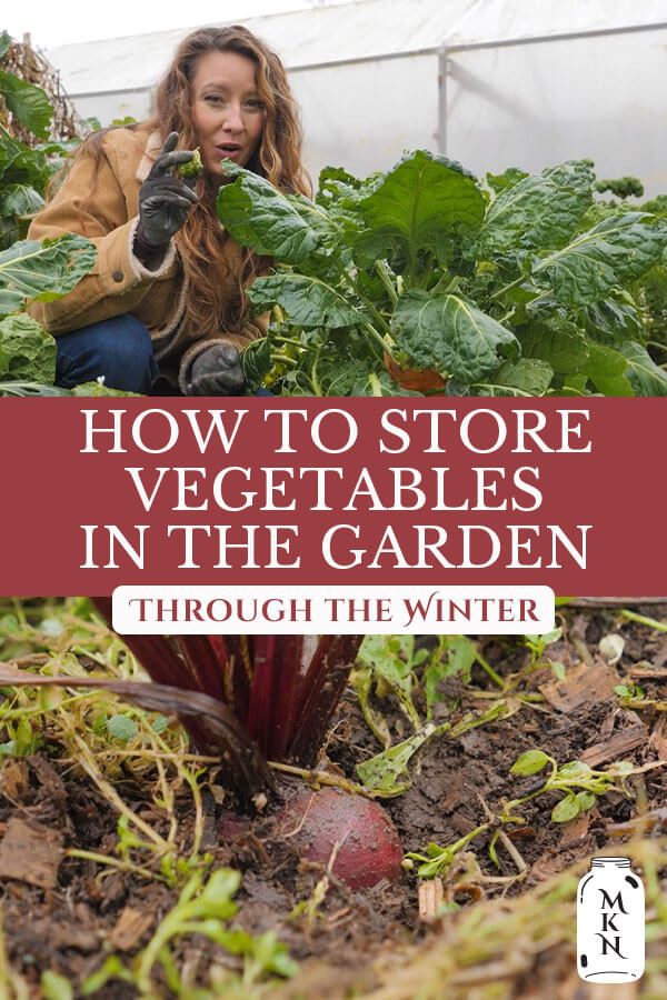 Winter Vegetable Garden Storing Vegetables over Winter Melissa K. Norris