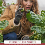 A woman holding up a Brussel sprout kneeling next to a large plant for a Pinterest pin about which vegetables can winter over in the garden.