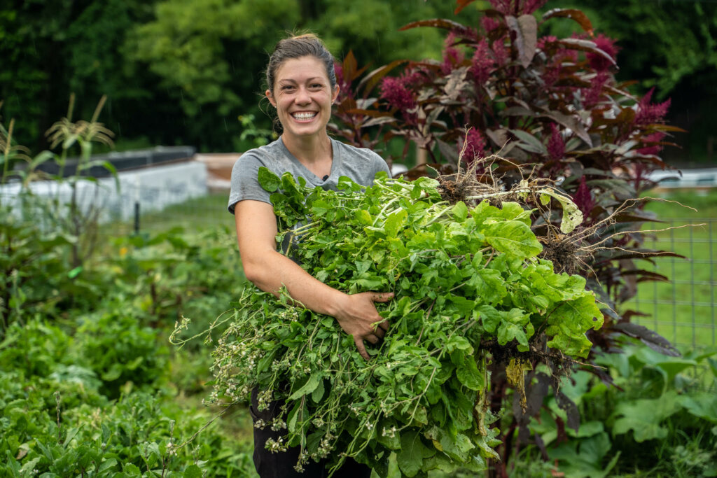 A woman harvesting vegetables from the garden.