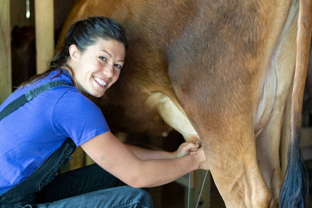 A woman milking a dairy cow.