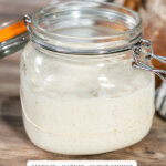 Pinterest pin with an image of sourdough starter.
