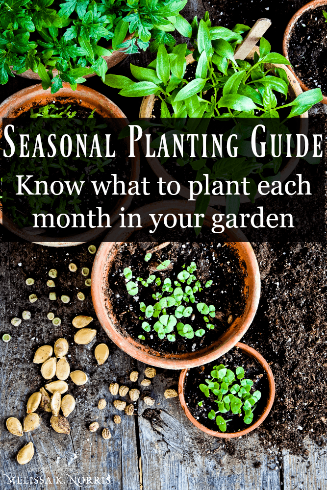 FREE Seasonal Monthly Planting Guide - Melissa K. Norris