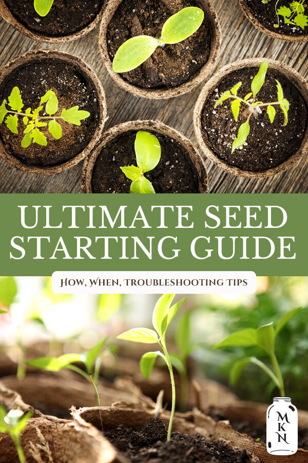 The Ultimate Seed Starting Guide- Planning, Starting & Mistakes to ...