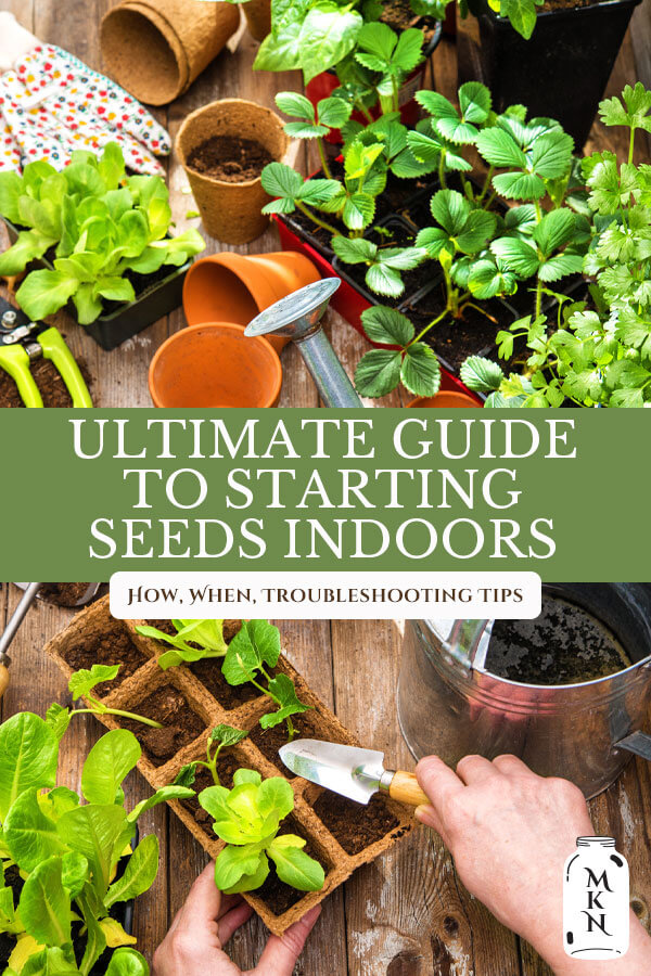 The Ultimate Seed Starting Guide- Planning, Starting & Mistakes to ...