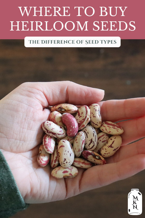 Where to Buy Heirloom Seeds - Heirloom, Hybrid & GMO Differences ...