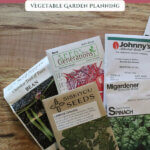 Pinterest pin with a photo of seed packets. Text overlay says, "What are the best seeds to buy?"