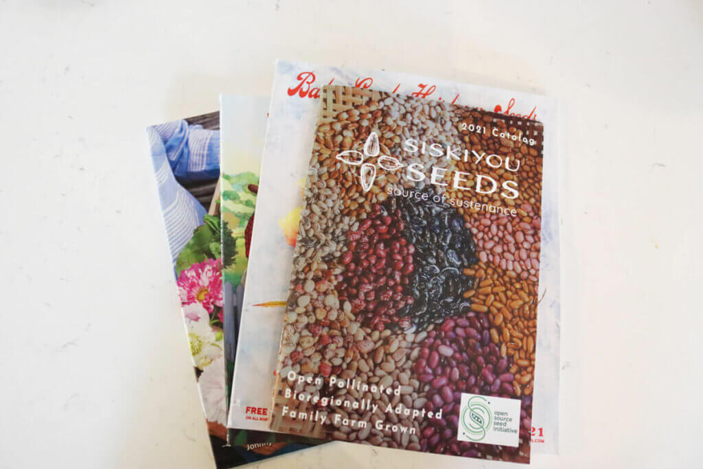 A stack of seed catalogs on a counter top.