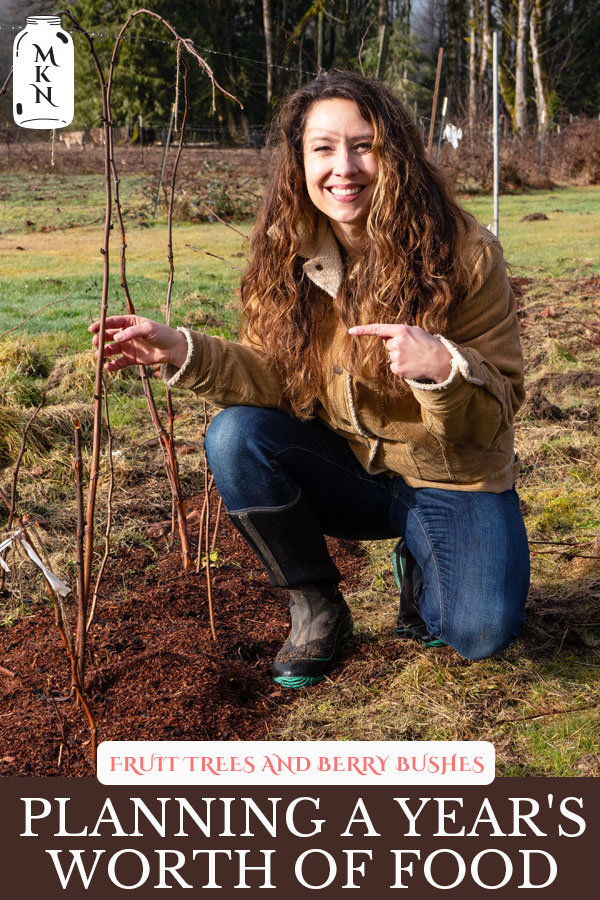 Planting Berry Bushes and Fruit Trees (How Many Fruit & Berry Plants