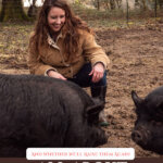 Pinterest pin for raising American Guinea Hogs with a photo of a woman crouched down by guinea hogs.