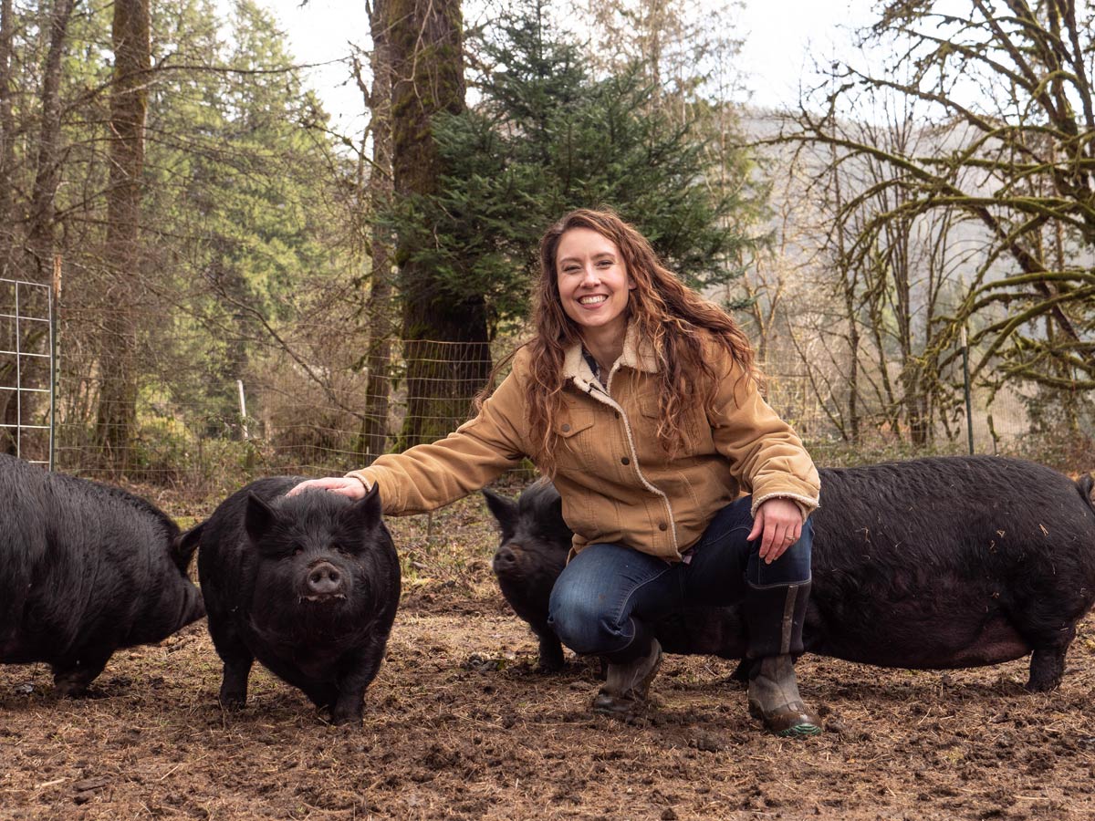 American guinea best sale pig cost