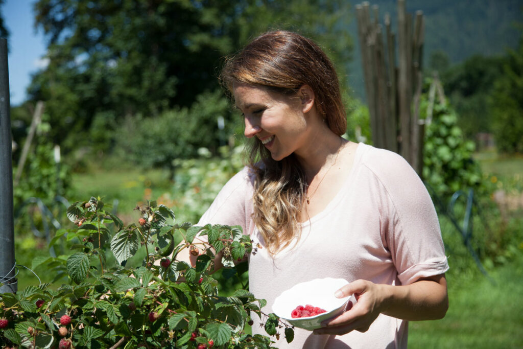 A woman in a pink shirt picking raspberries.