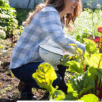 Pinterest pin for homesteading time management with an image of a woman kneeling in the garden.