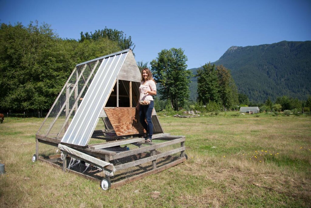 A woman standing on a portable chicken tractor holding a basket of farm fresh eggs.