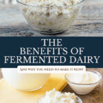 Pinterest pin for the benefits of fermented dairy with images of fermented dairy products like yogurt, milk kefir and cheese.