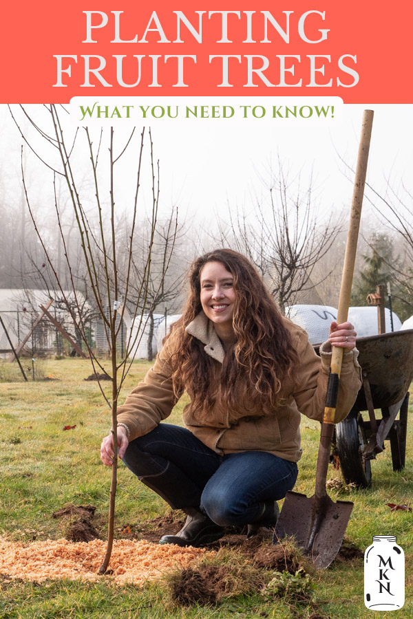 When and How to Plant Fruit Trees