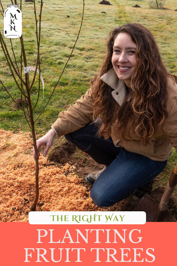 When and How to Plant Fruit Trees